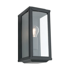 Cougar Lighting Anglesea 1LT Wall Light in Black COU-ANGL1EBLK