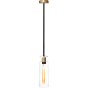 Cougar Lighting Bourne 1LT Pendant Light in Black COU-BOUR1PBLK