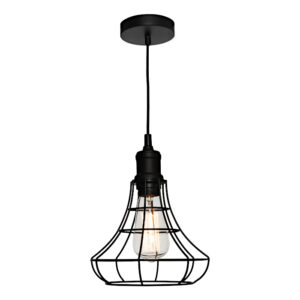 Cougar Lighting Cage 1LT Small Pendant Light in Black COU-CAGE1PSML