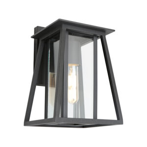 Cougar Lighting Dover 1LT Wall Light in Black COU-DOVE1EBLK