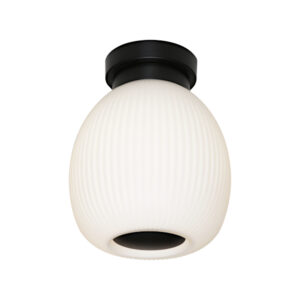 Cougar Lighting Garman Close To Ceiling Light in Black COU-GARM1BFBLK