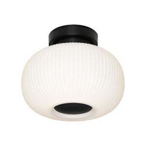 Cougar Lighting Hutton Close To Ceiling Light in Black COU-HUTT1BFBLK