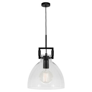 Cougar Lighting Jean 1LT Pendant Light in Black COU-JEAN1PBLK