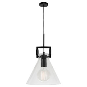 Cougar Lighting Pierre 1LT Pendant Light in Black COU-PIER1PBLK