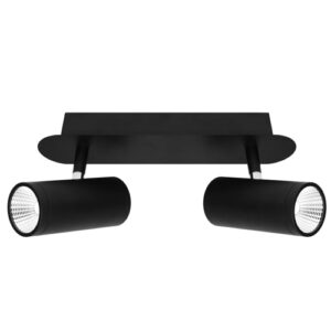 Cougar Lighting Urban 2LT Rail Light in Black COU-URB2RBLK