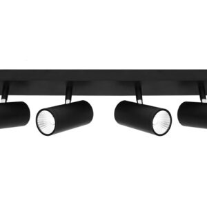 Cougar Lighting Urban 4LT Rail Light in Black COU-URB4RBLK