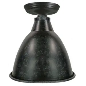 Lighting Inspirations Riverside Under Eave Black LOI1001413