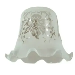 Lighting Inspirations 5008 Glass Shade with 29mm Fitter Hole Frost Etched LOI3090009