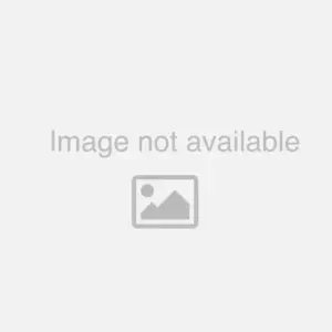 Lighting Inspirations Classique Flush 50Cm String Of Crystal Only LOISP10282