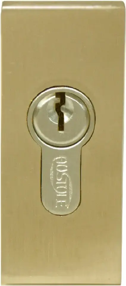 Superior Brass Euro Escutcheon rectangle PVDSS 70x30mm SUP13724
