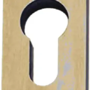 Superior Brass Solid Escutcheon Single Snib Set ATQ 85mm myLOCK SUP23734