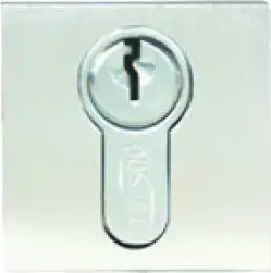 Superior Brass Escutcheon Euro Square CP 40x40mm SUP33726